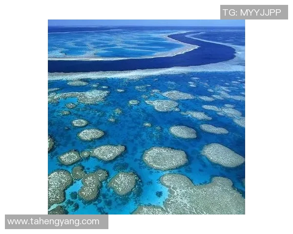 德岛漩涡与琉球的文化碰撞与自然奇观探秘之旅